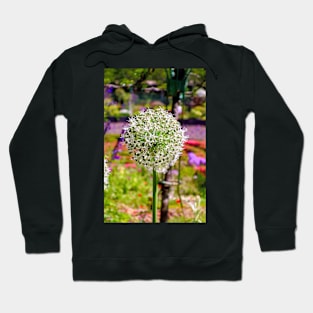 Getty Museum Gardens Study 7 Hoodie